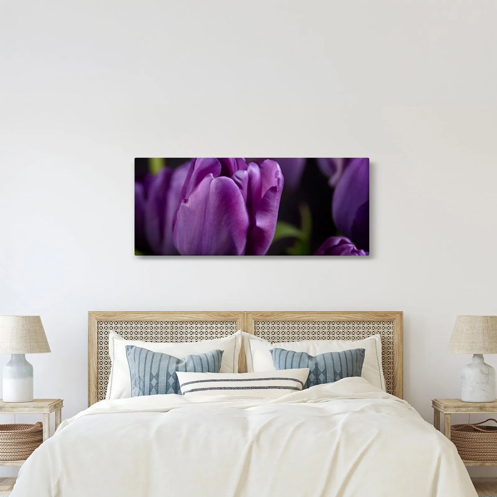 Tulipán vírág képe (120x50 cm)