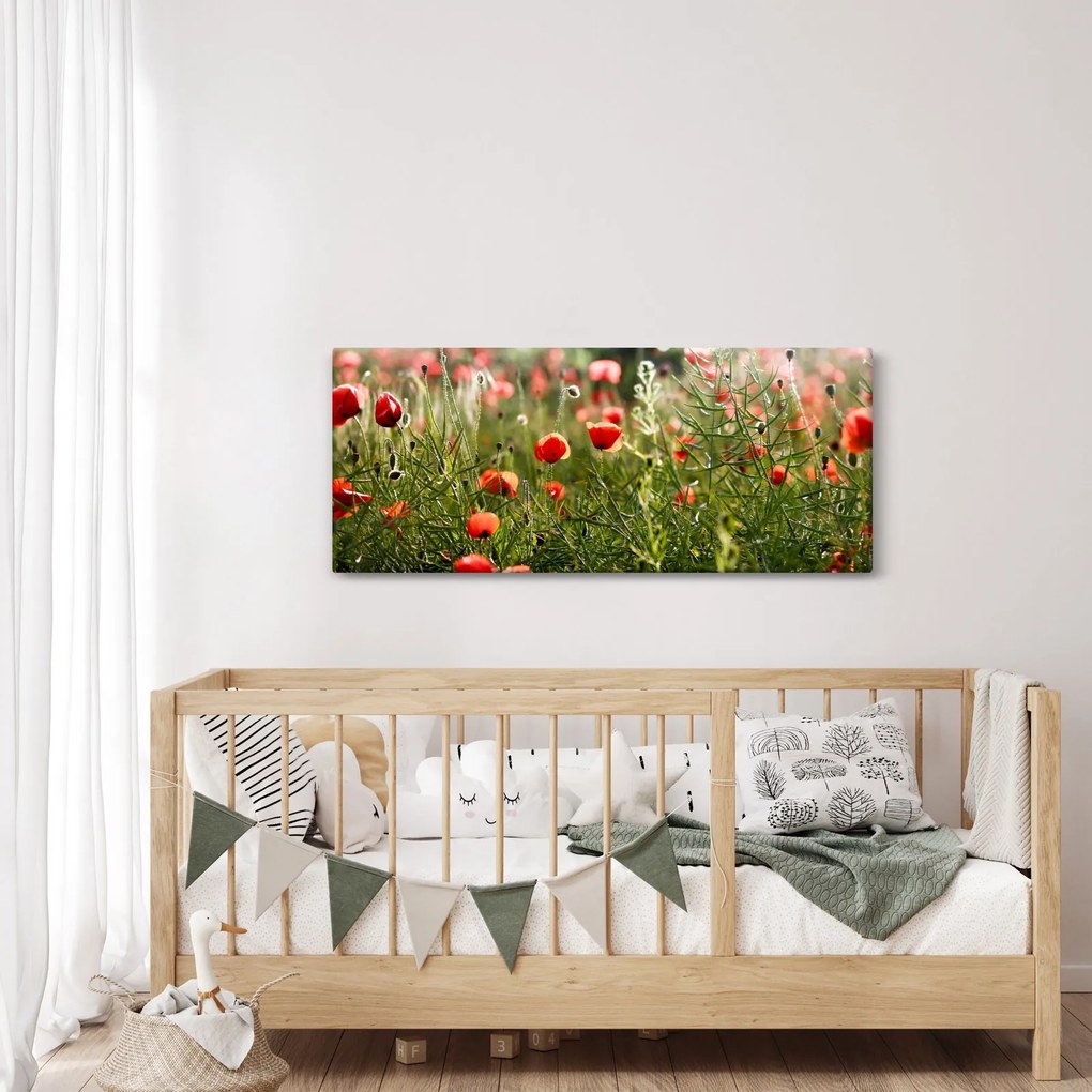 Pipacsok képe (120x50 cm)