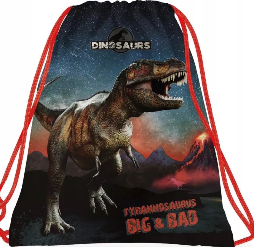 Dinoszauruszok 5 részes iskolakészlet fiúknak