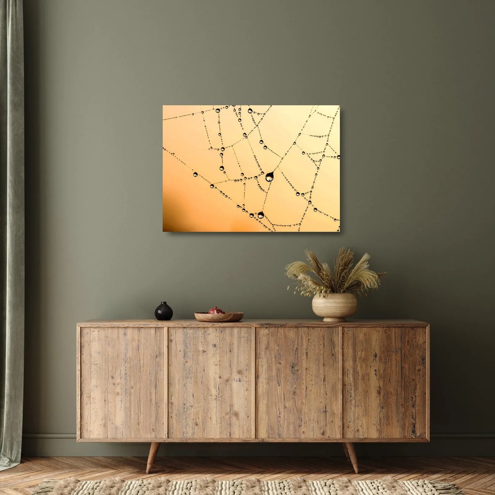 Egy harmatos pókháló képe (üvegen) (70x50 cm)