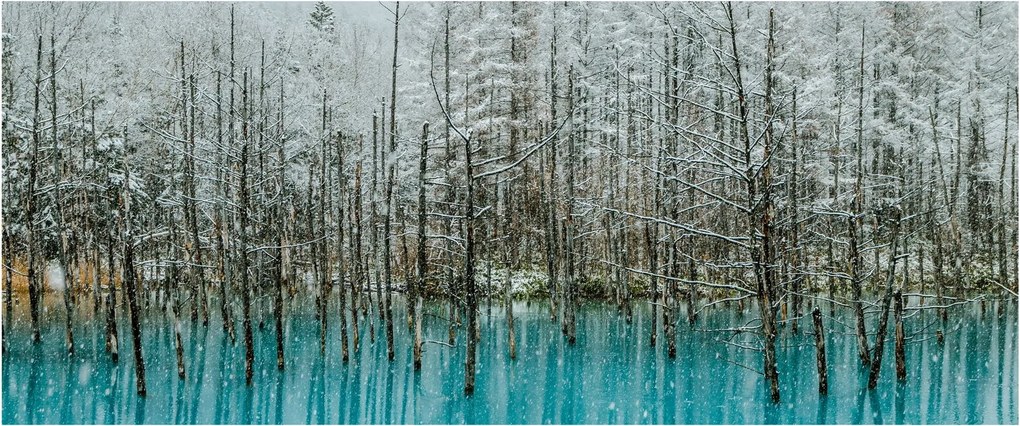 Kép - Türkiz tó, Biei, Japán (120x50 cm)