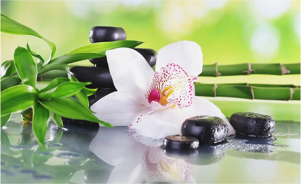 Fotótapéta Flizelin Dekoratív Hálószoba A természet nyugalma 416x254 Ragasztó