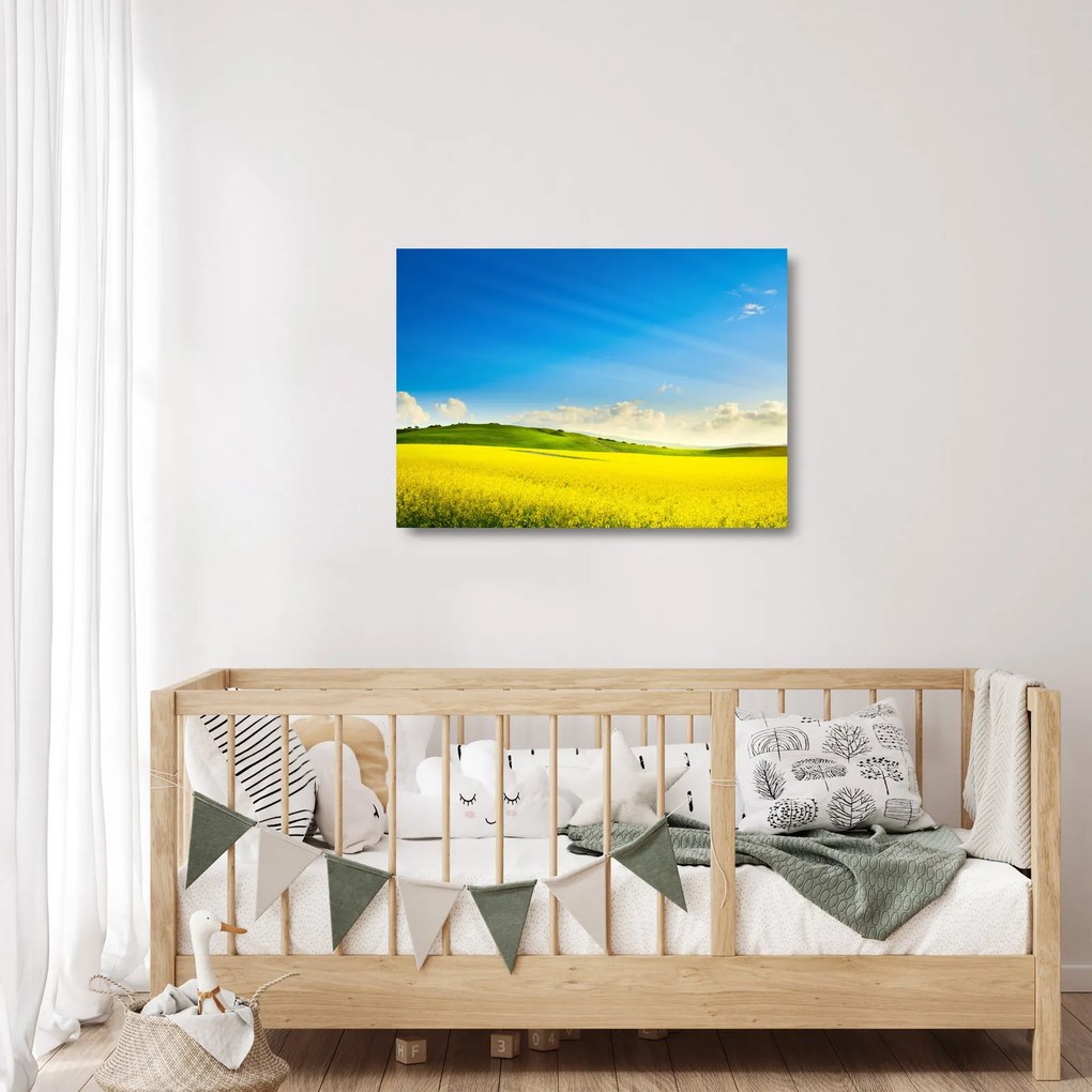 Kép - Tavaszi ég (üvegen) (70x50 cm)
