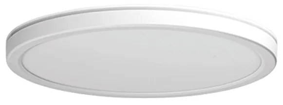 Panka