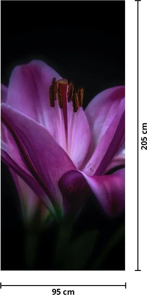 Fotótapéta ajtóra - Liliom (95x205cm)