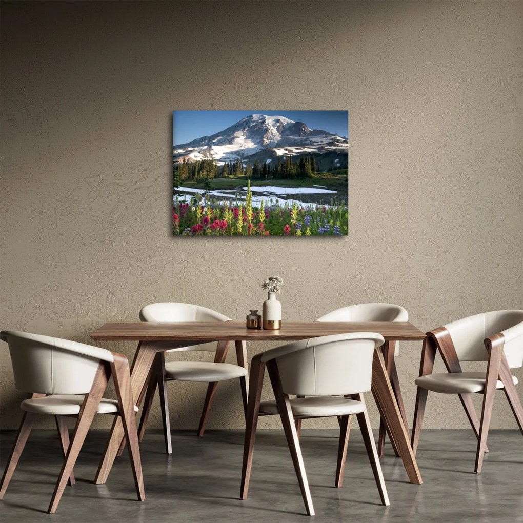 Kép - Mount Rainier (70x50 cm)