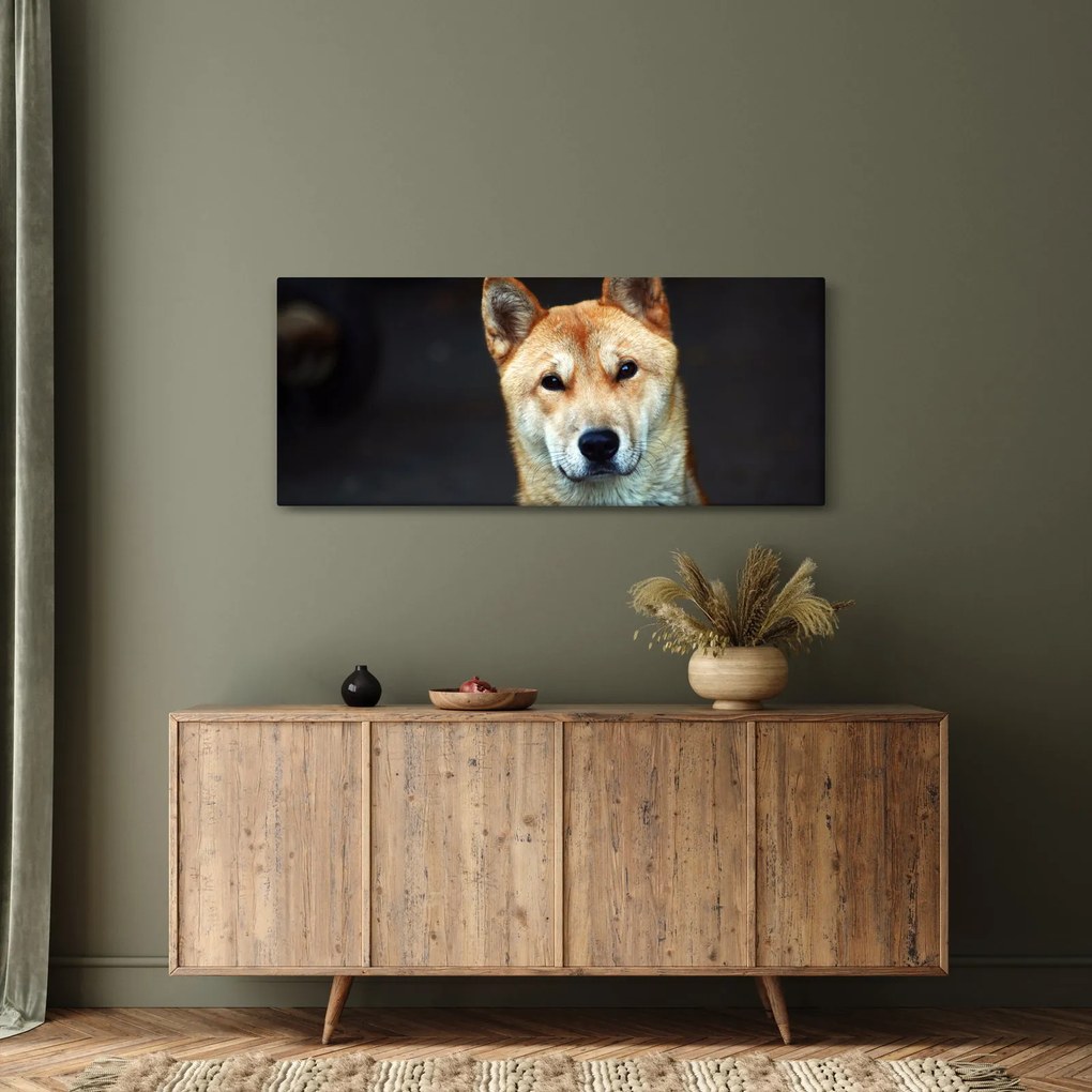Kutya képe (120x50 cm)