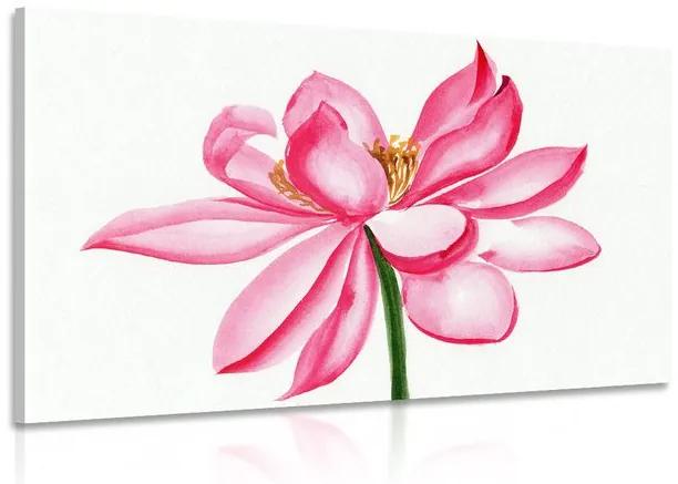 Kép akvarell lótusz virág