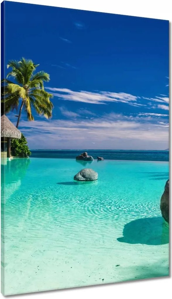 Vászonkép 60x90 Trópusok Tájkép Pálmafák