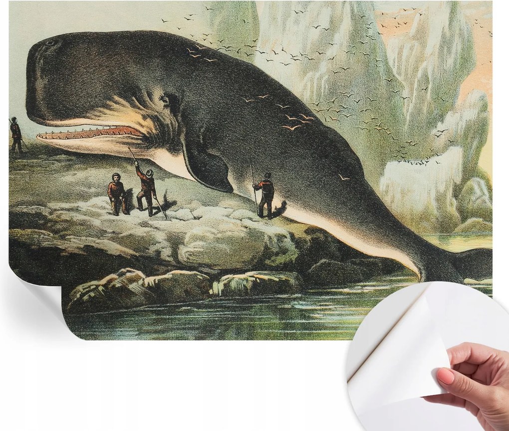 Fotótapéta Öntapadós Fali Falfestmény Tengeri óriás 312x219 cm