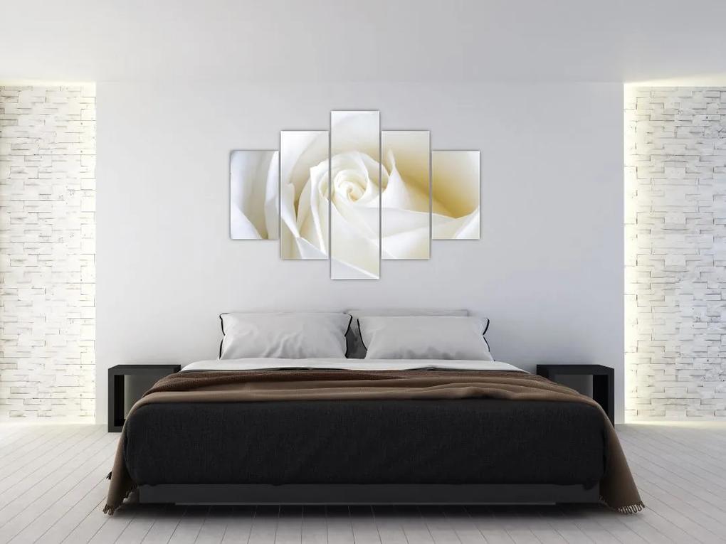 Egy fehér rózsa képe (150x105 cm)