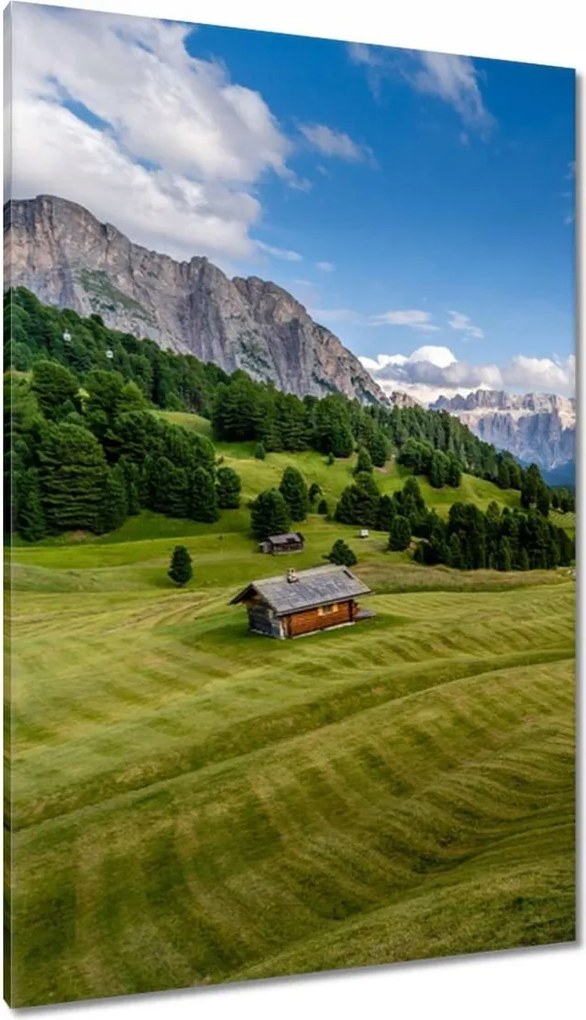 Vászonkép 80x120 Bárányok a hegyi réten