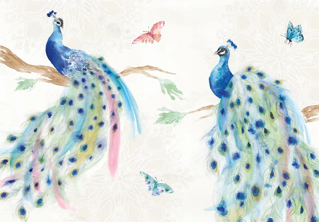 Fotótapéta páva madarak Páva madár Falfestmény Ragasztó 368 x 254