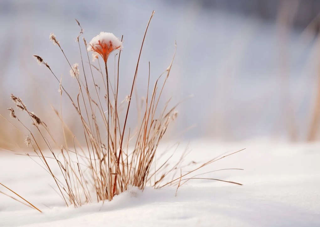 Poszter 84x59,5cm Tél a részletekben