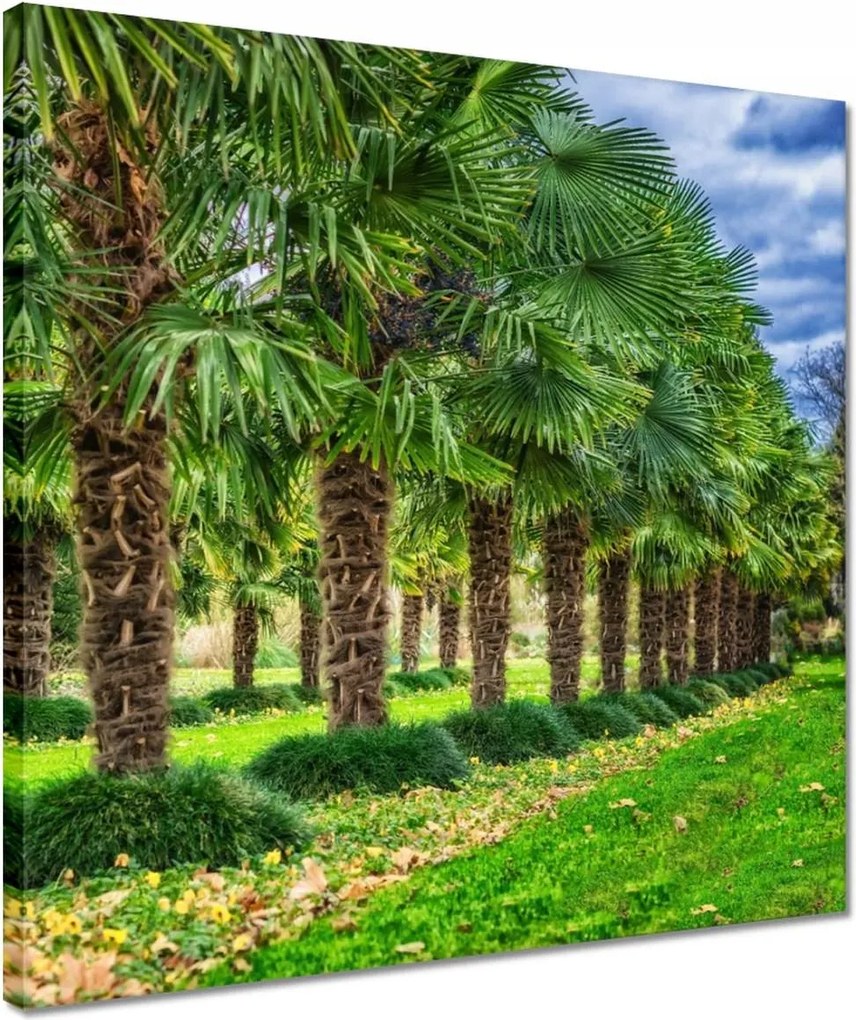 Vászonkép 40x40 Tájkép