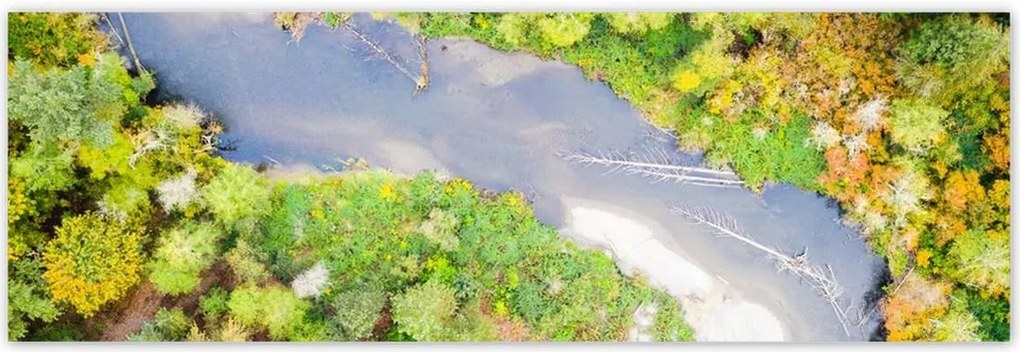 Poszterek 200x66 Forgó folyó Erdő Ősz