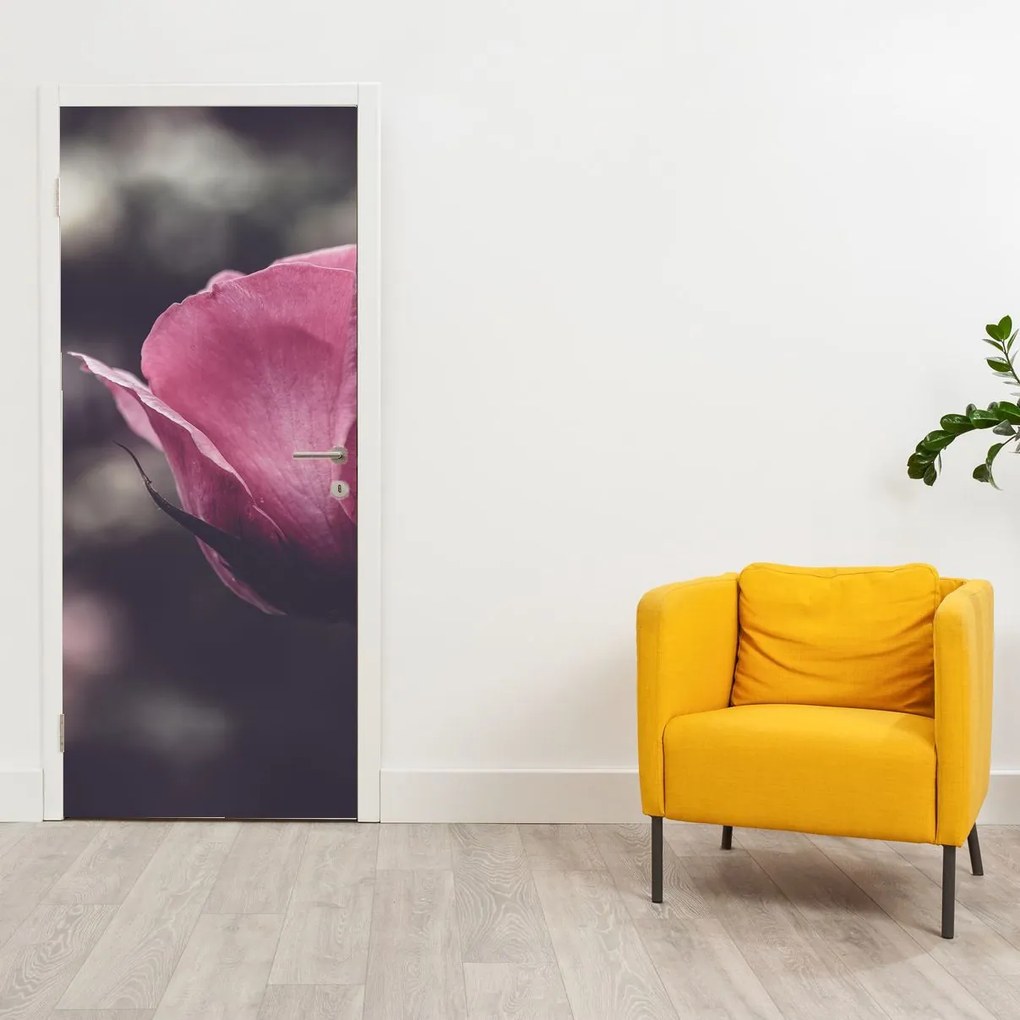 Fotótapéta ajtóra - Rózsavirág részlete (95x205cm)