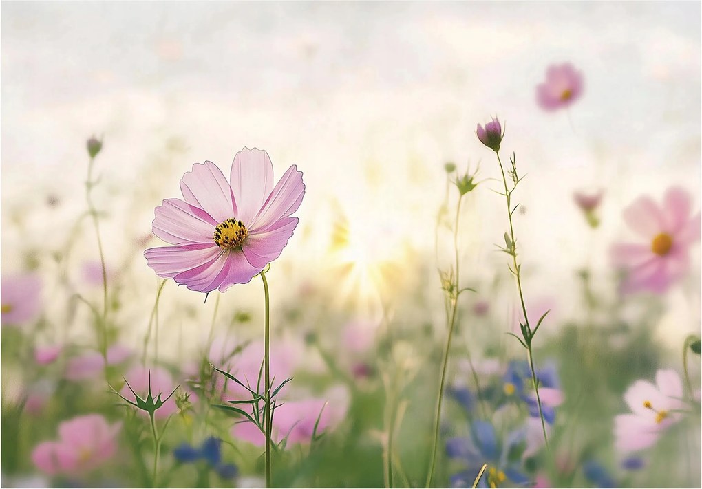 Fotótapéta Levelek a flizelinen Virág rét virág fotótapéta ragasztó 254