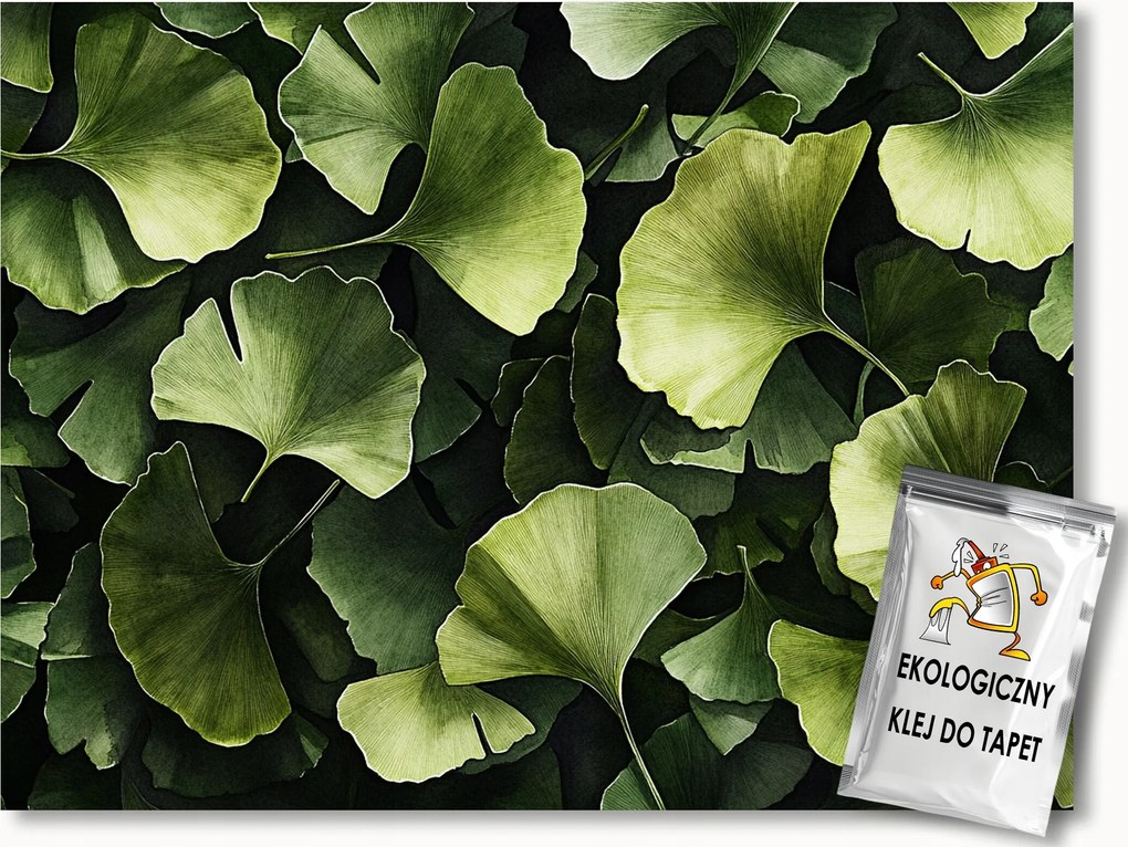 Fotótapéta Flizelina Természet Zöld Levelek Ginkgo Japán 200x140 ragasztó