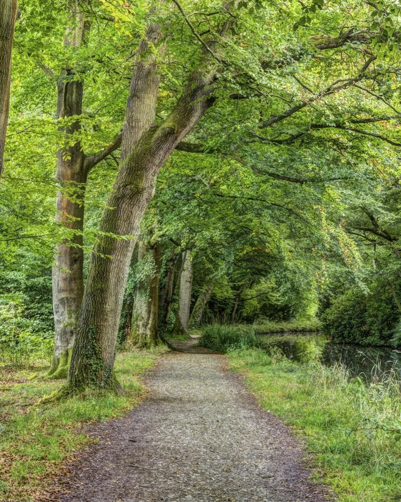 Poszter 40x50cm Ösvény a Basingstoke csatorna mentén, Assaf Frank