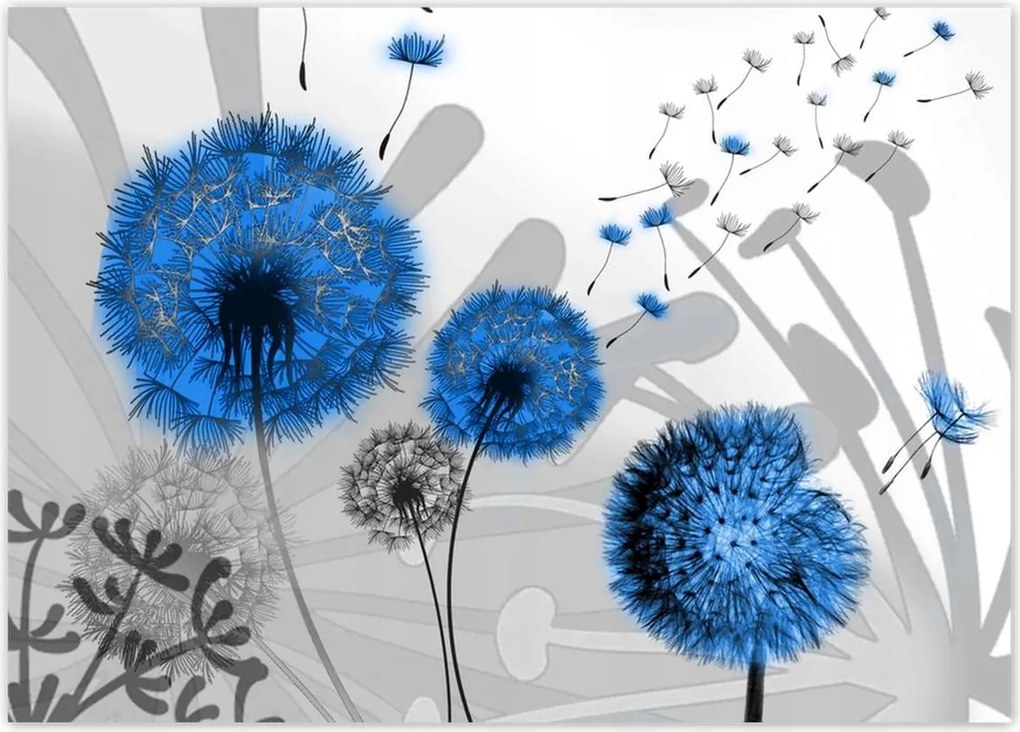 Poszterek 70x50 Kék pitypangok