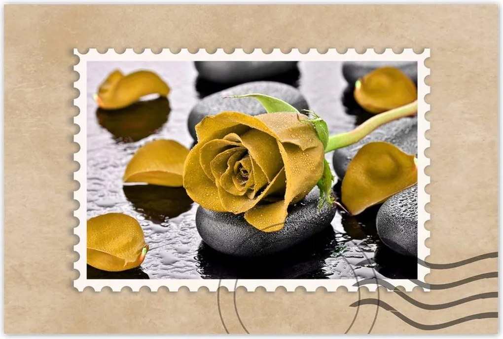 Poszterek 60x40 Sárga rózsa köveken