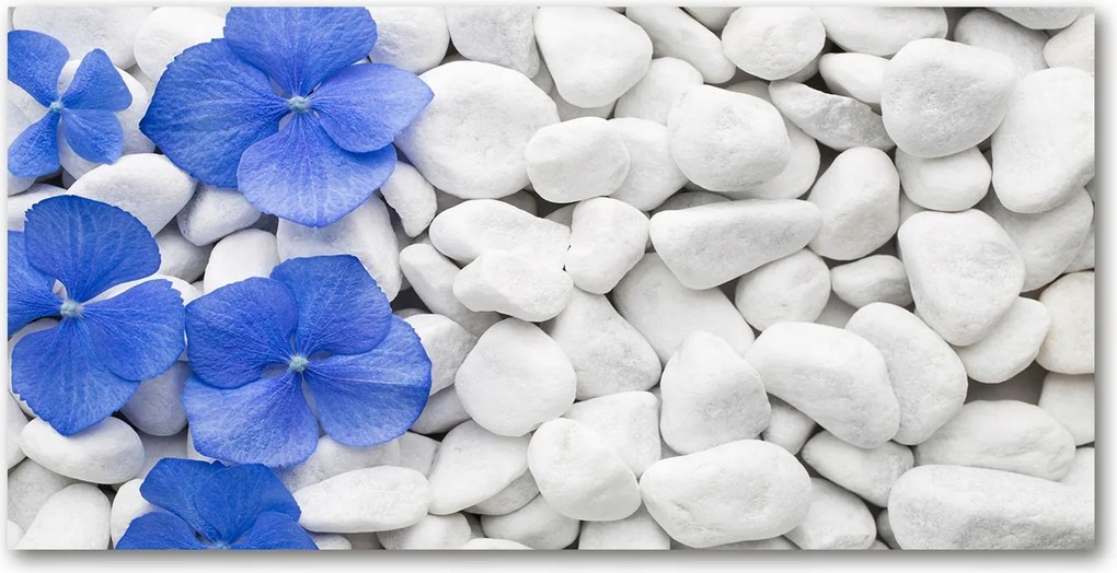 Fotó vászonkép edzett üveg Hortenzia 140x70