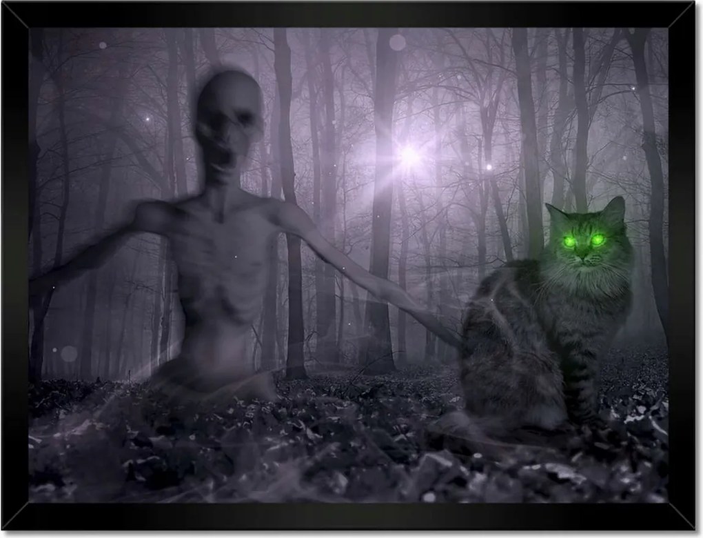 Poszterek keretben 40x30 Macska Alien Lime Macskák