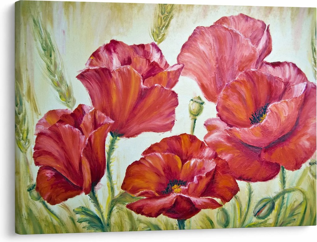 Kép - Pipacsvirágok (70x50 cm)