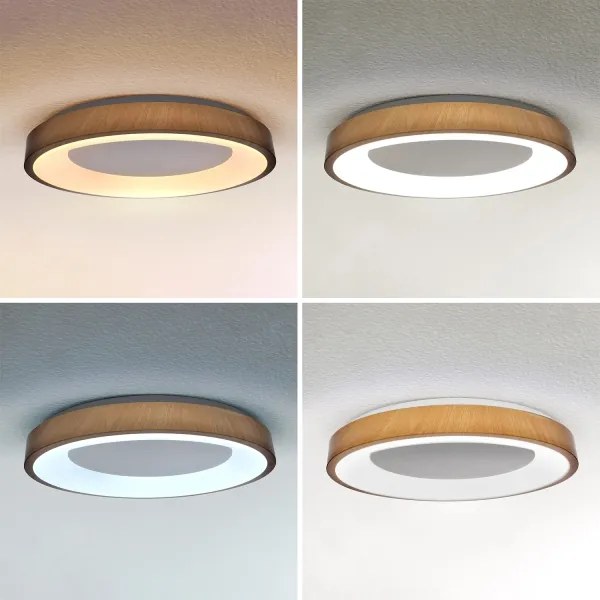 Brilagi - Dimmelhető LED lámpatest DORIA LED/60W/230V 3000–6500K, átmérő 60 cm + távirányító