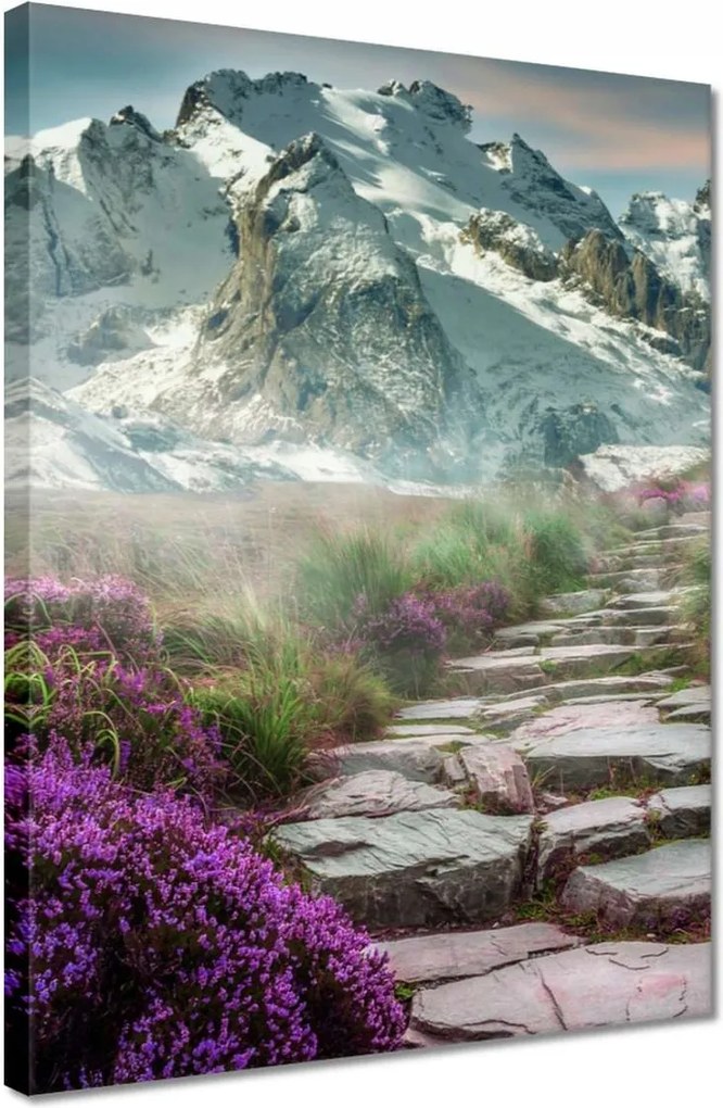 Vászonkép 30x40 Hegyi táj Tájkép