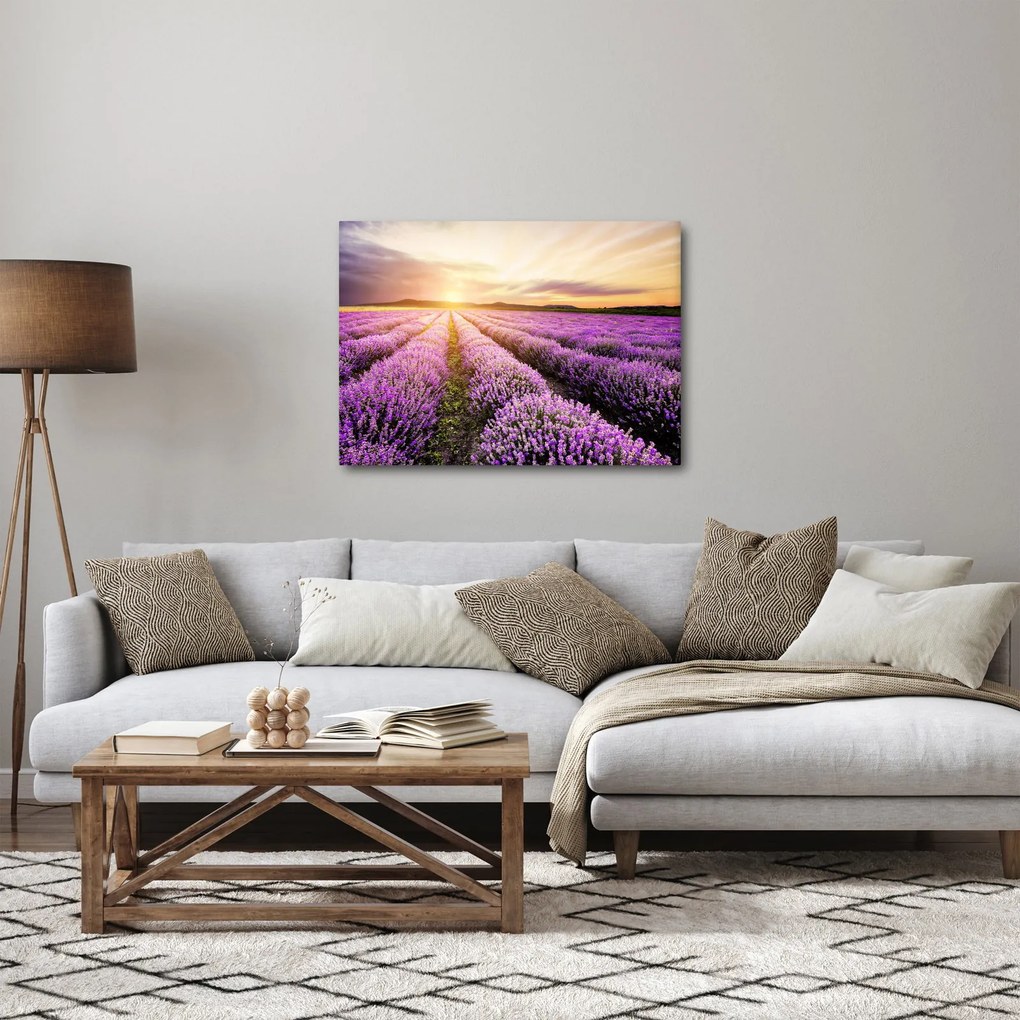 Kép - Napfelkelte levendulamezőn (70x50 cm)