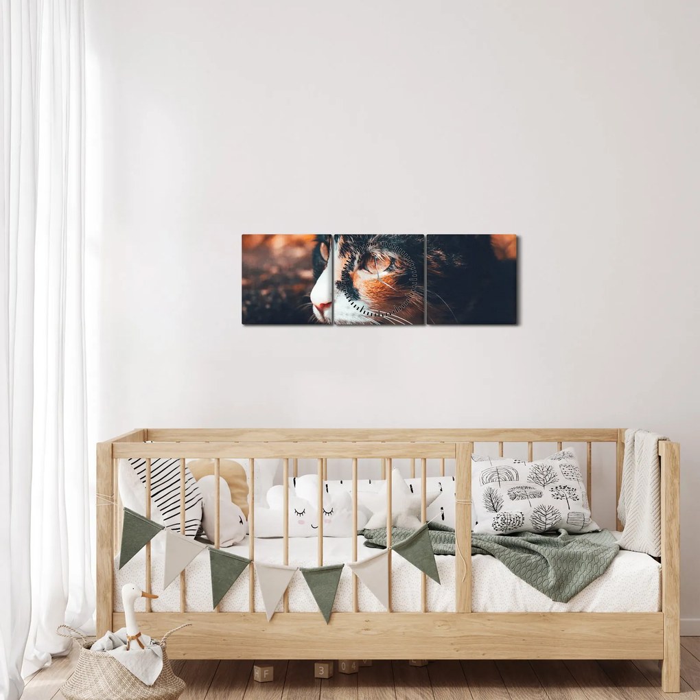Kép - A macska látképe (órával) (90x30 cm)