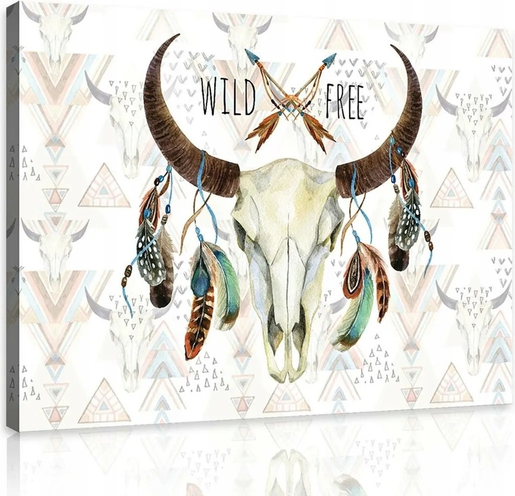 Vászonkép 60x40 Vad Szabad Koponya Toll Nyíl Boho Etnikai geometrikus