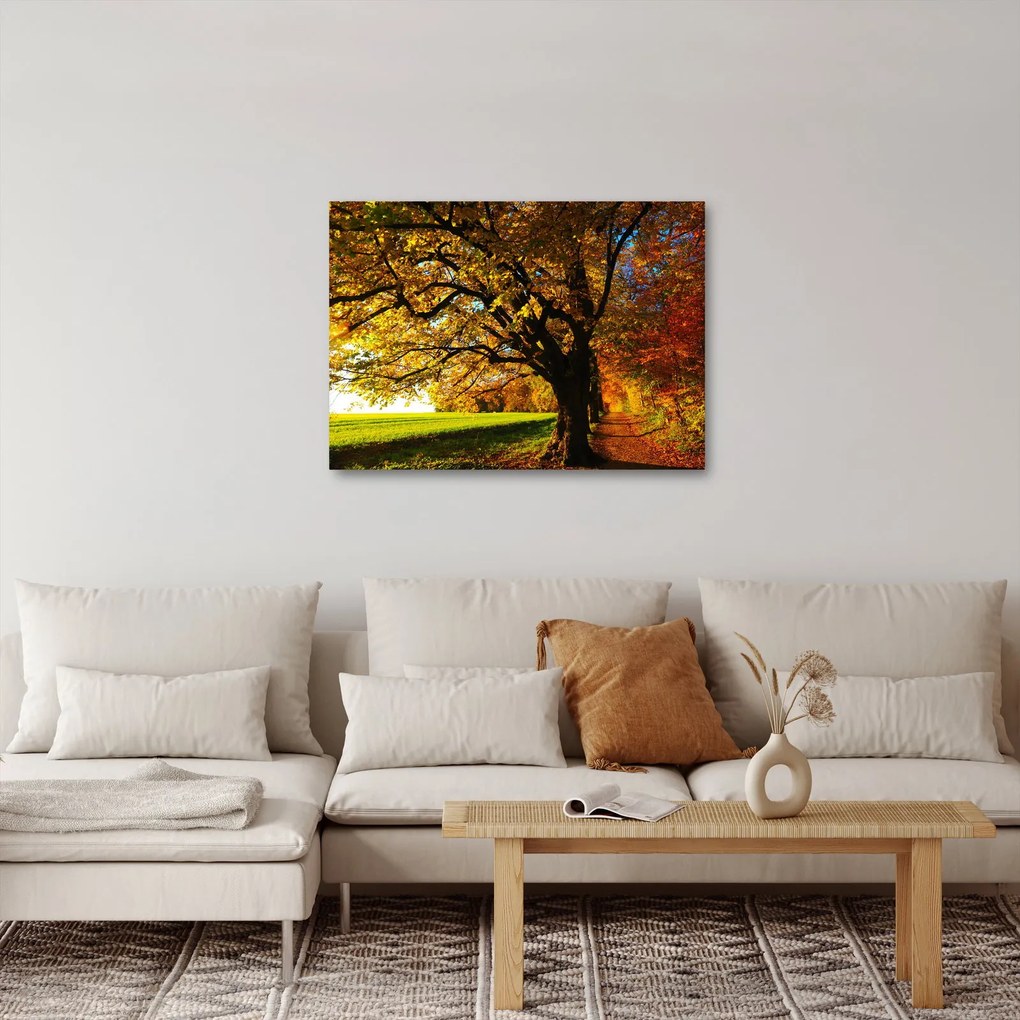 Az őszi kép (70x50 cm)