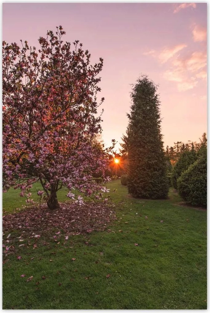 Poszterek 60x90 Kilátás Tájkép