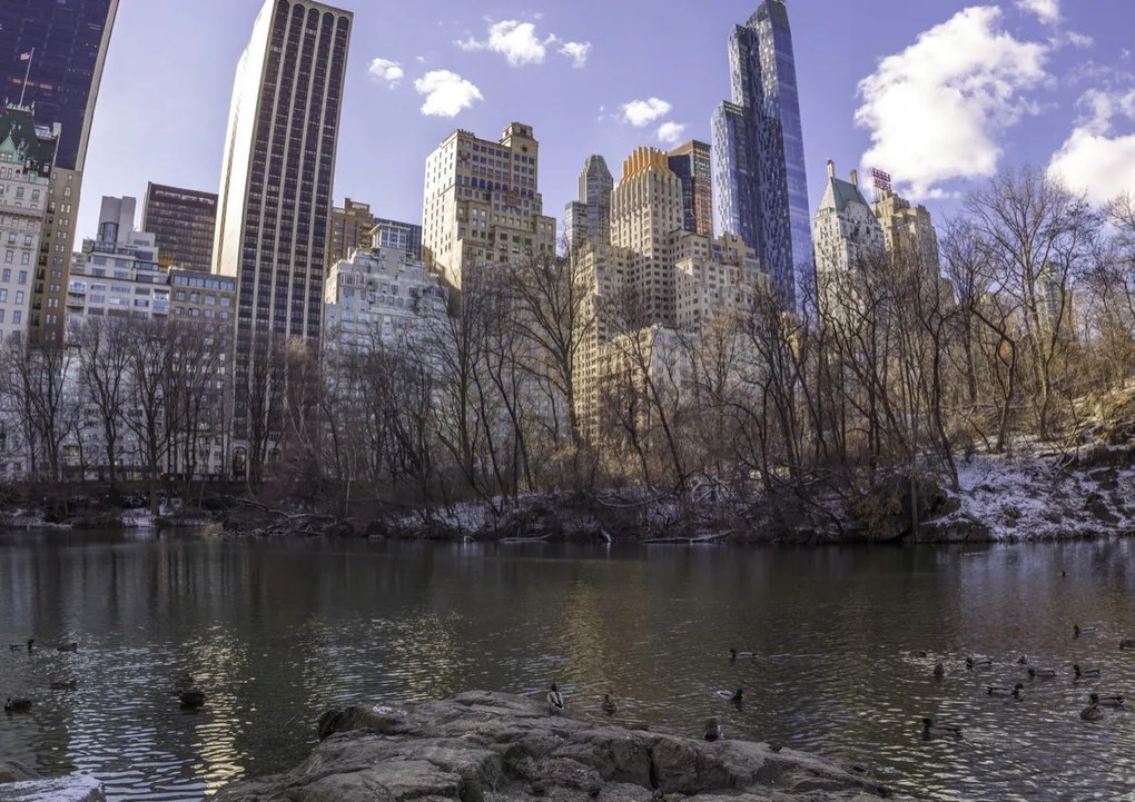 Poszter 84,1x59,4cm Alsó-Manhattan panoráma a Central Parkból, Assaf Frank
