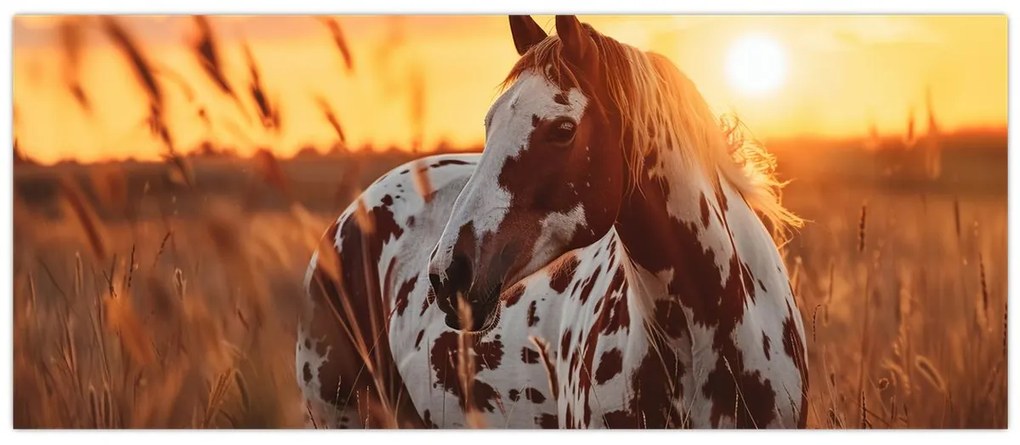 Kép - Ló naplementében (120x50 cm)