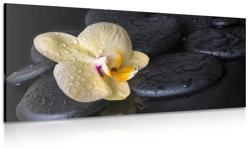 Kép Zen kövek sárga orchideával