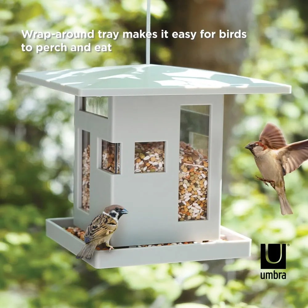 Madáretető Bird – Umbra