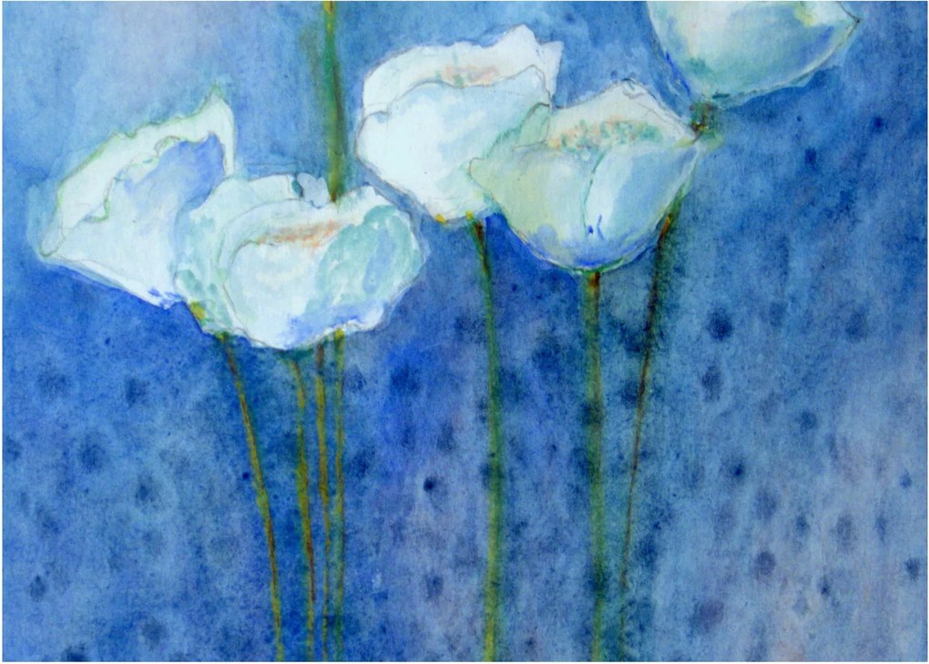 Kép - fehér tulipán (üvegen) (70x50 cm)