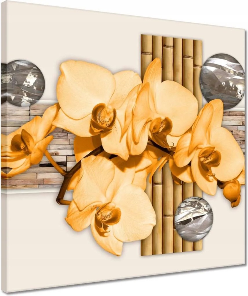 Vászonkép 40x40 Narancssárga orchidea