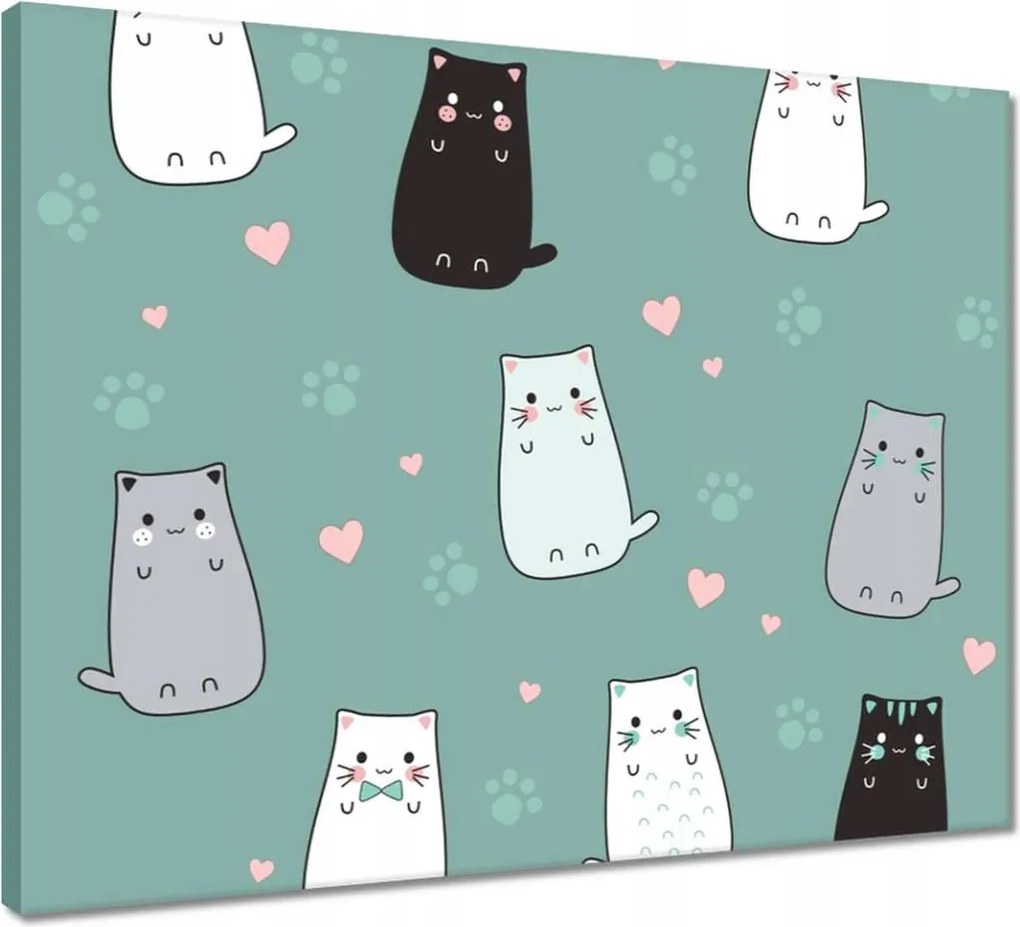 Vászonkép 50x40 Cica Cicák Macskák