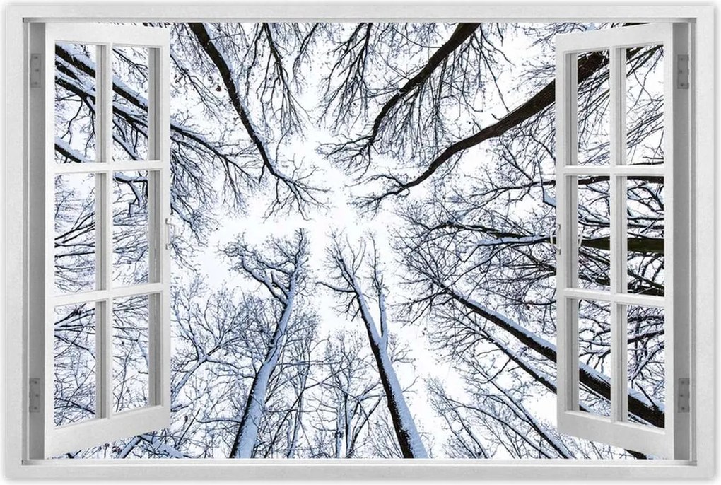 Poszterek 90x60 Fa Kilátás