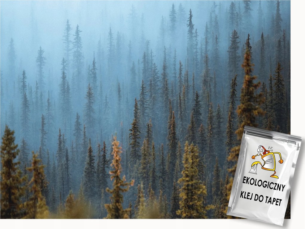 Fotótapéta Flizelina Tájkép Kilátás Erdő Tűlevelű Fák Köd 400x280 ragasztó