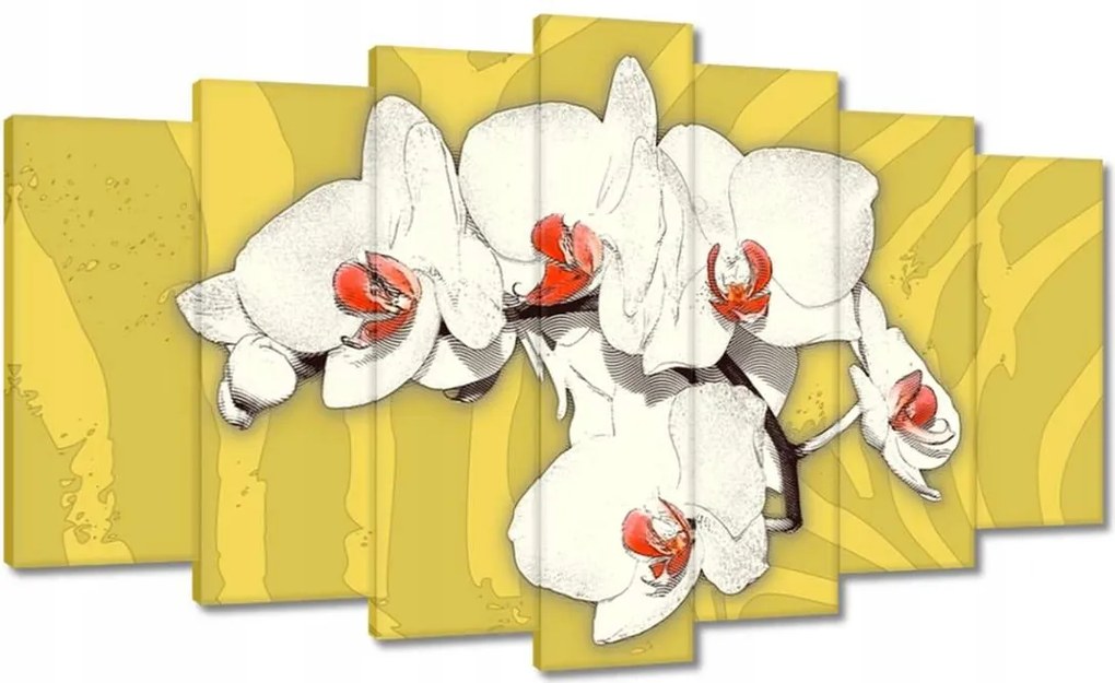 Vászonkép 140x80 Orchideák Virágok