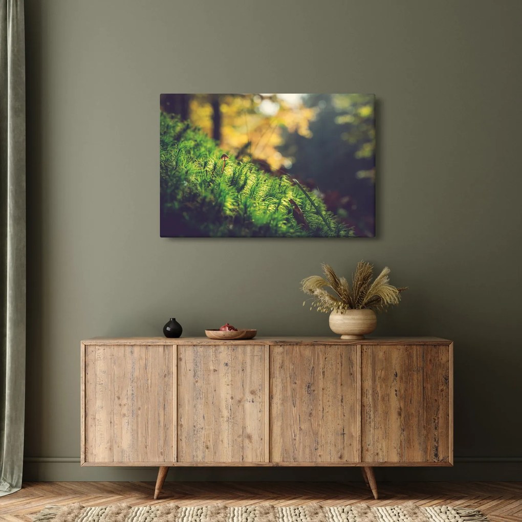 A moha képe gombával (90x60 cm)