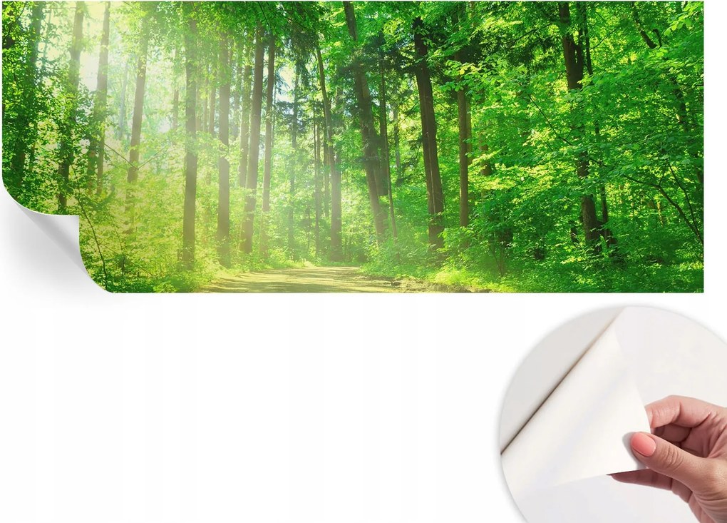 Öntapadós tapéta Divatos 3D fali ragasztóval Erdei ösvény 250x104 cm