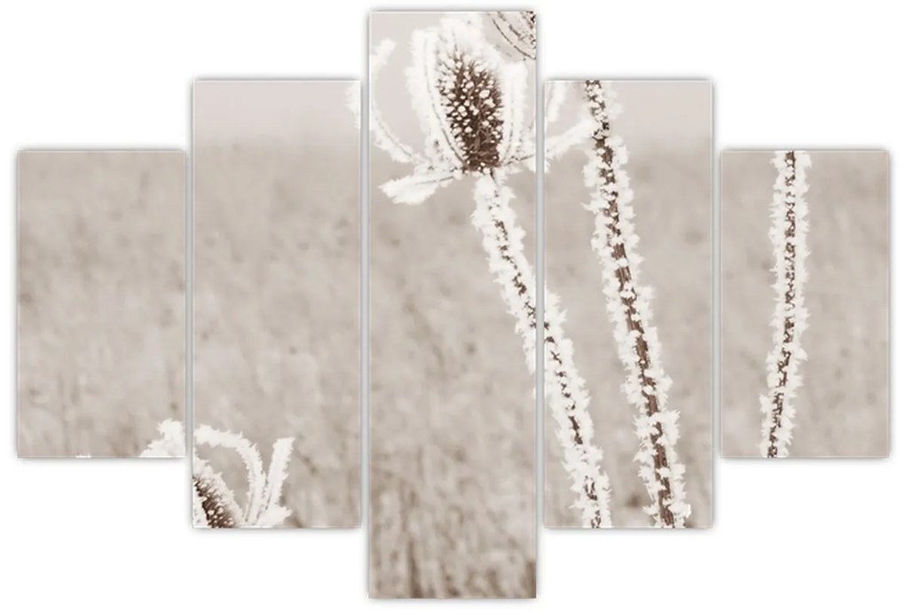Kép - Gyűszű télen (150x105 cm)