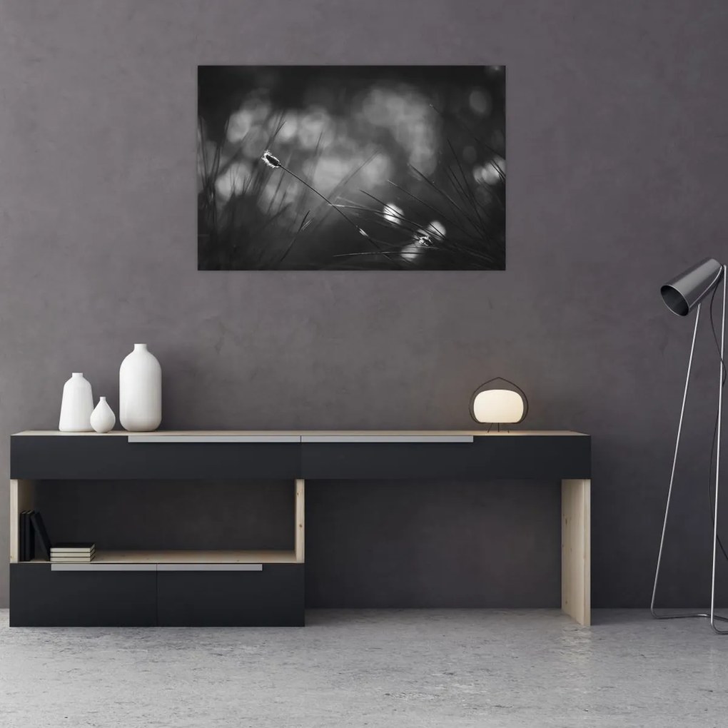 Kép - Mezei fű (90x60 cm)